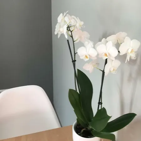 Easy Center アパート *