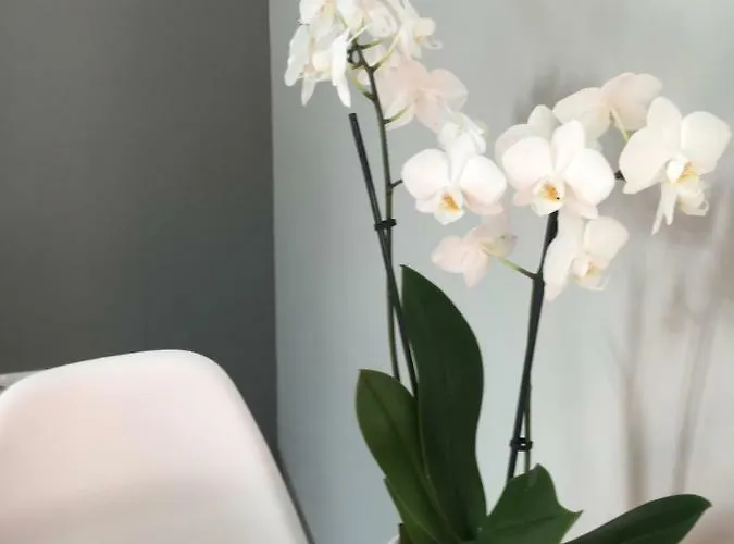 Easy Center Apartment *